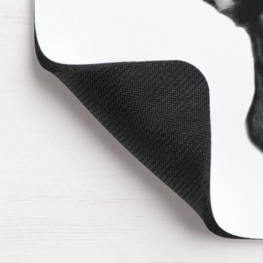 Chihuahua Muismat (Hoek)