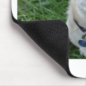 Chihuahua Muismat (Hoek)