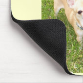 Chihuahua Muismat (Hoek)