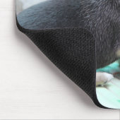 Chihuahua Muismat voegt foto en tekst toe (Hoek)