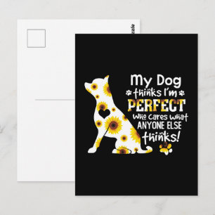 Chihuahua My Dog denkt dat ik perfect ben wie er o Briefkaart