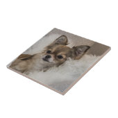 Chihuahua Ontspannen Tegeltje (Zijkant)