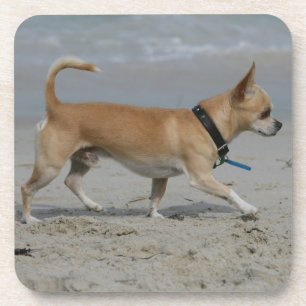 Chihuahua op Beach Bier Onderzetter