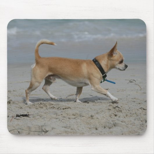 Chihuahua op Beach Muismat (Voorkant)