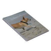 Chihuahua op Beach Notitieboek (Rechterzijde)