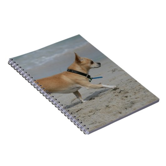 Chihuahua op Beach Notitieboek (Rechterzijde)