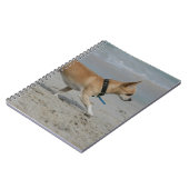 Chihuahua op Beach Notitieboek (Linkerzijde)