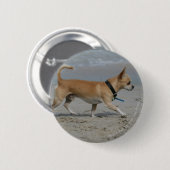 Chihuahua op Beach Ronde Button 5,7 Cm (Voorkant /achterkant)