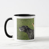 Chihuahua op Great Dane's rug 2 Mok (Links)
