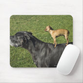 Chihuahua op Great Dane's rug 2 Muismat (Met muis)