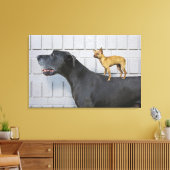 Chihuahua op Great Dane's rug Canvas Afdruk (Insitu (Woonkamer))