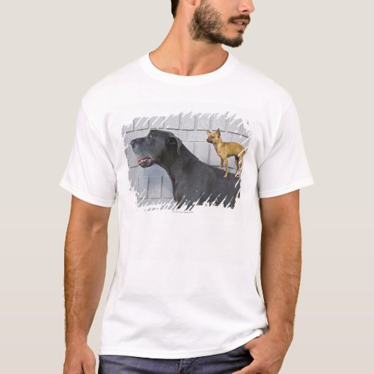 Chihuahua op Great Dane's rug T-shirt (Voorkant)