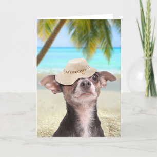Chihuahua op vakantie kaart