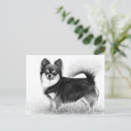 Chihuahua - Originele beeldende kunst Briefkaart