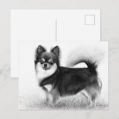Chihuahua - Originele beeldende kunst Briefkaart (Voorkant / Achterkant)