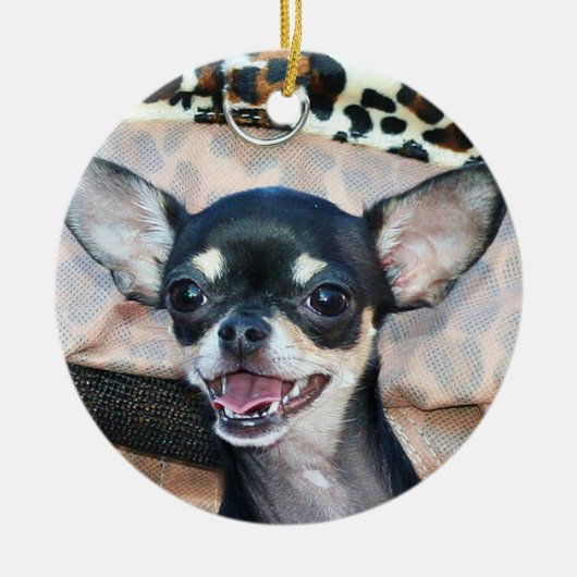 Chihuahua ornament (Voorkant)