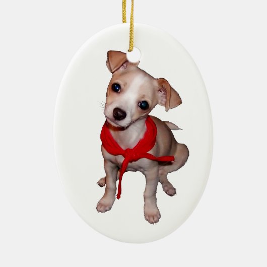 Chihuahua Ornament (Achterkant)