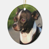 Chihuahua ornament (Links)