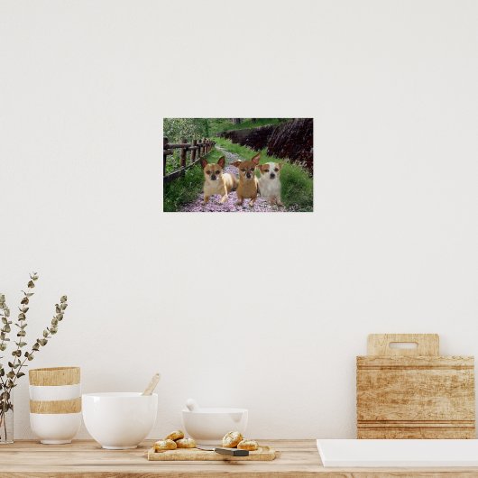 Chihuahua Paars Poster (Keuken)