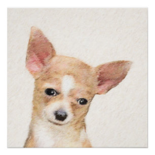 Chihuahua Painting - Cute Original Dog Art Perfect Poster