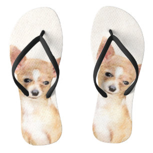 Chihuahua Painting - Cute Original Dog Art Teenslippers