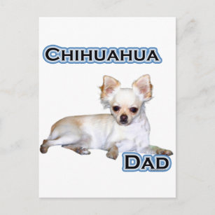 Chihuahua Papa 4 Briefkaart