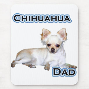 Chihuahua Papa 4 Muismat