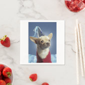 Chihuahua Party Hond Servet (Insitu)