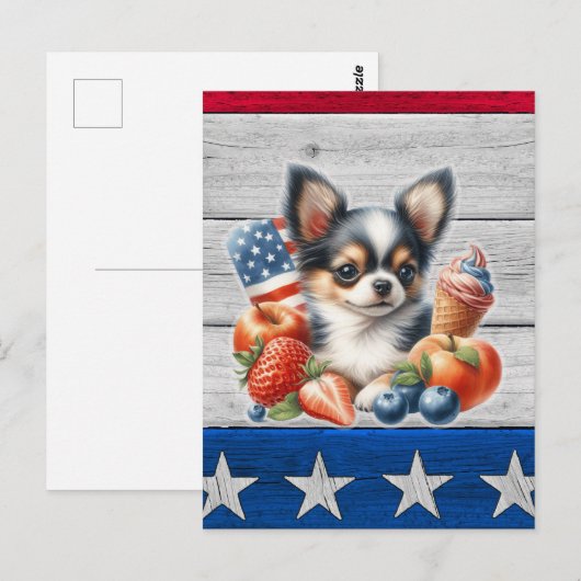 Chihuahua Patriottisch Fruit USA Lang Haar Chihuah Briefkaart (Voorkant / Achterkant)