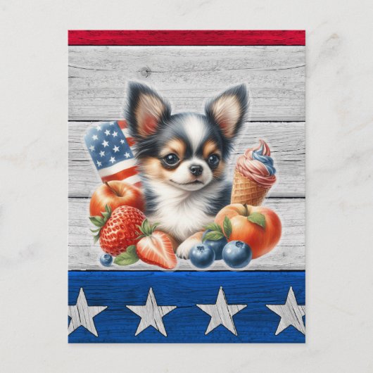 Chihuahua Patriottisch Fruit USA Lang Haar Chihuah Briefkaart (Voorkant)
