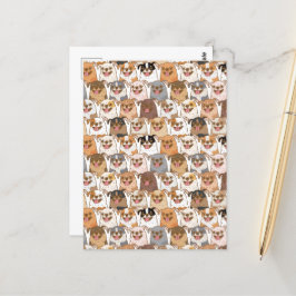 Chihuahua Pattern Briefkaart