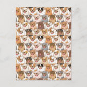 Chihuahua Pattern Briefkaart (Voorkant)