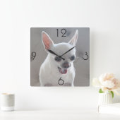 Chihuahua Photo Large Square Wall Clock Vierkante Klok (Huis)