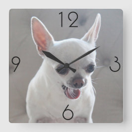 Chihuahua Photo Large Square Wall Clock Vierkante Klok
