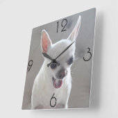 Chihuahua Photo Large Square Wall Clock Vierkante Klok (Hoek)