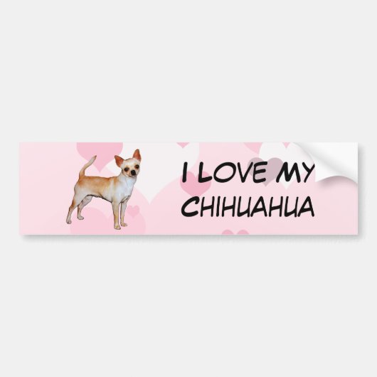 Chihuahua Pink & White Hearts Bumpersticker (Voorkant)
