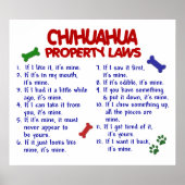 CHIHUAHUA PL2 POSTER (Voorkant)