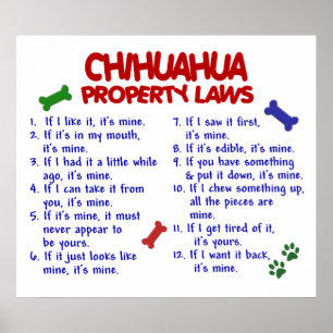 CHIHUAHUA PL2 POSTER