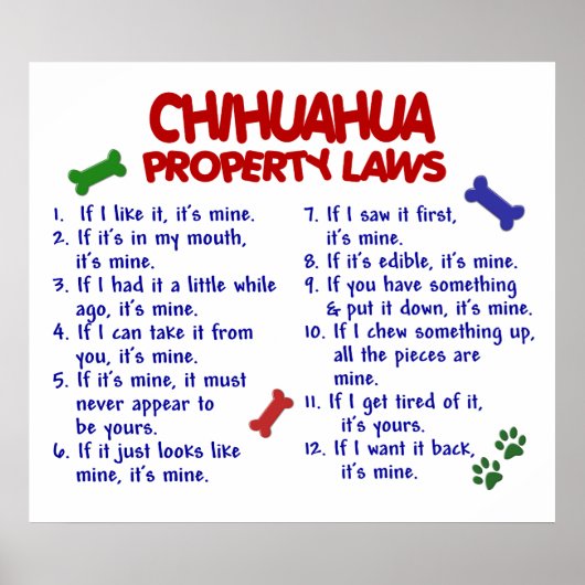 CHIHUAHUA PL2 POSTER (Voorkant)
