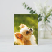 Chihuahua Portrait Briefkaart (Staand voorkant)