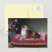 Chihuahua Portrait Briefkaart (Voorkant / Achterkant)