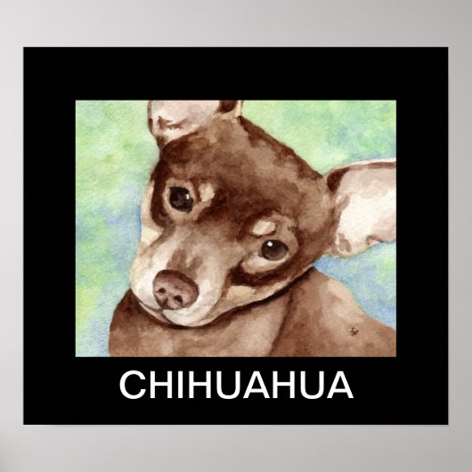 Chihuahua Portret Poster (Voorkant)