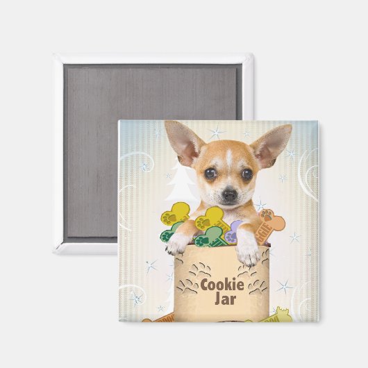 Chihuahua Posed met Cookie Jar Magneet (Voorkant / Achterkant)