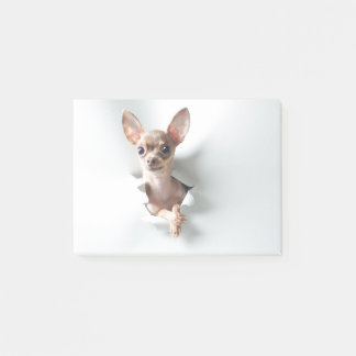 Chihuahua Post-it® Notes