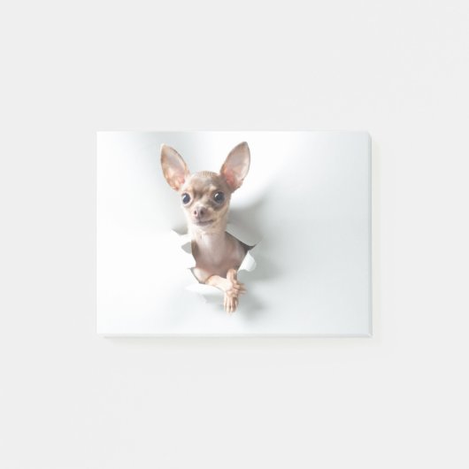 Chihuahua Post-it® Notes (Voorkant)