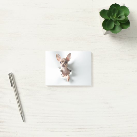 Chihuahua Post-it® Notes (Kantoor)