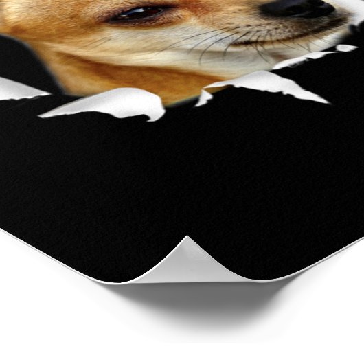 Chihuahua Poster (Hoek)