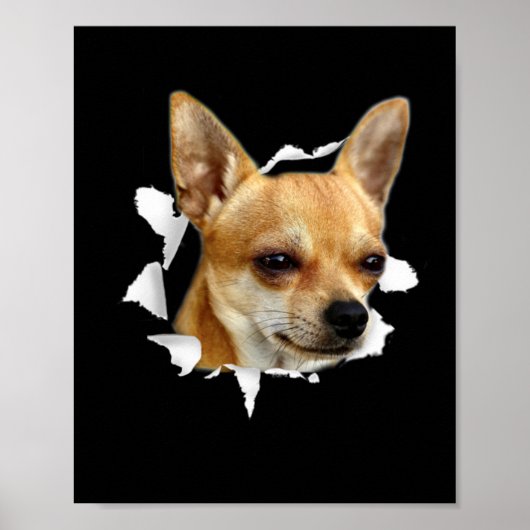 Chihuahua Poster (Voorkant)