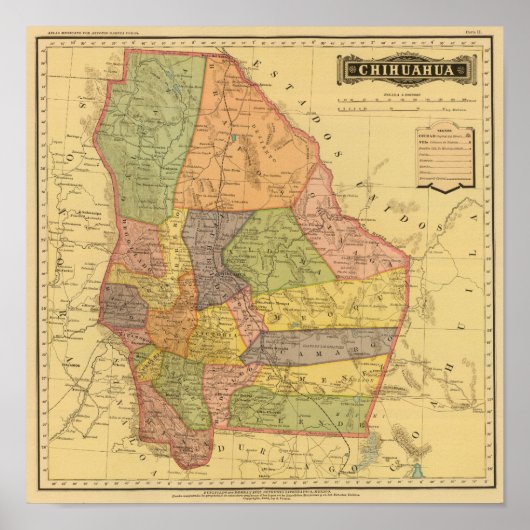 Chihuahua Poster (Voorkant)