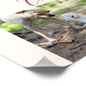 Chihuahua Poster Voeg je eigen Chihuahua toe (Hoek)